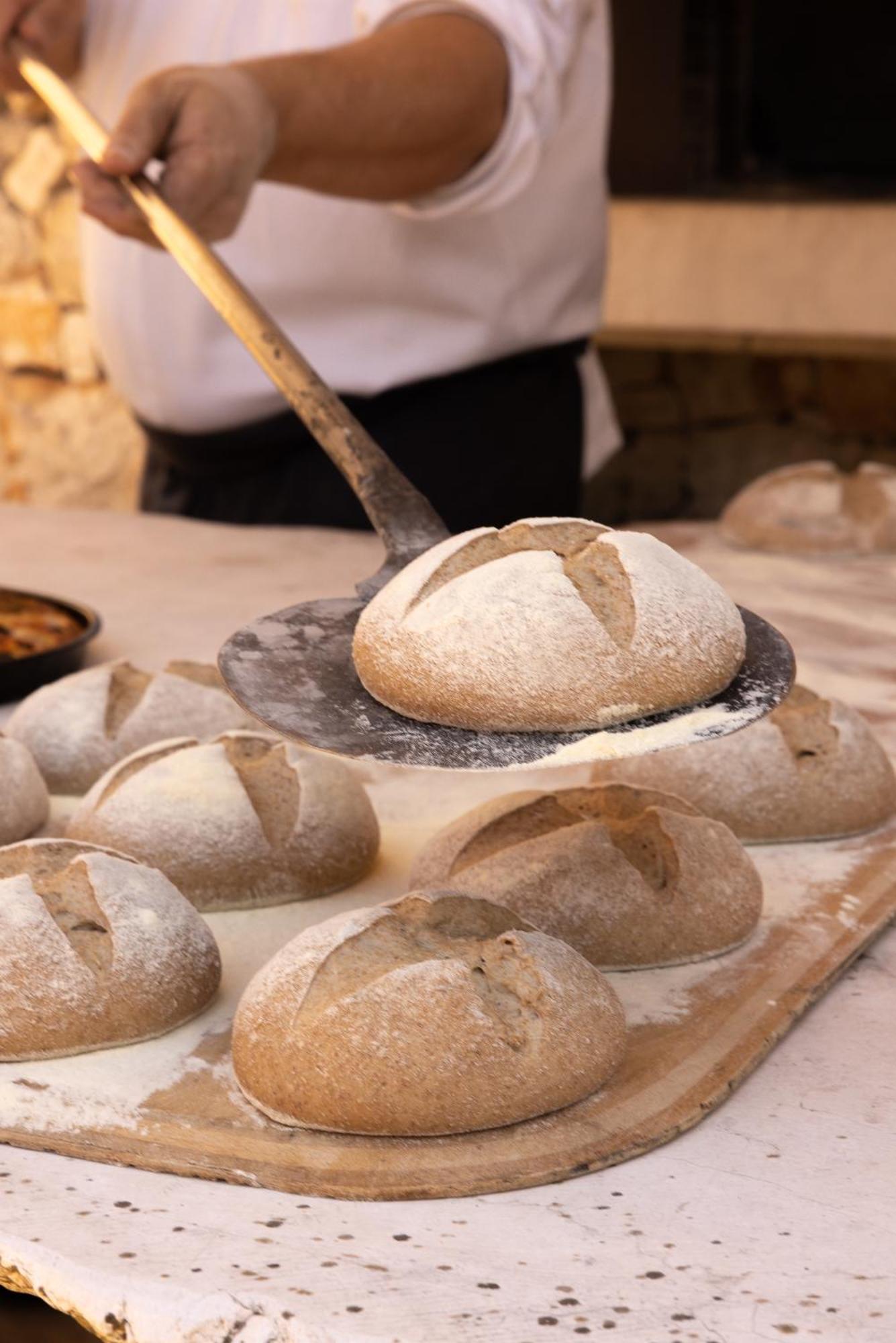 Masseria San Paolo Grande 오스투니 외부 사진
